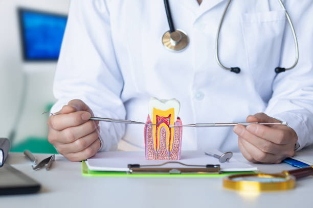 Best Emergency Dental Care for Trauma or Injury in Eclectic, AL